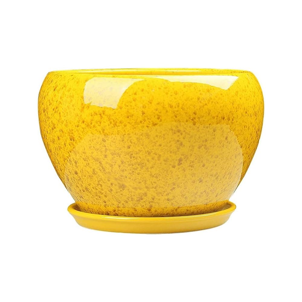 Amazon.com : Decbde Simple Flower Pot Chinese Style Yellow Flower